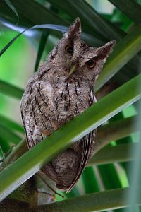 tn_img_0080