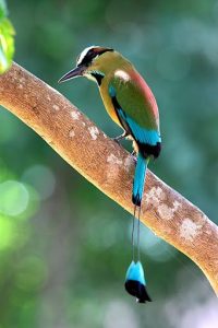 tn_img_0218adj
