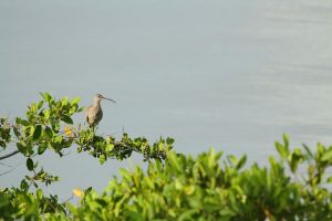 tn_img_5689